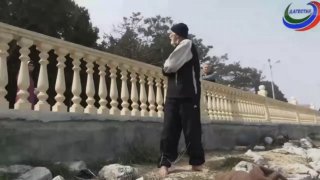 Семья 90-летнего дедушки, кидающего камни в кошек, выступила с заявлением