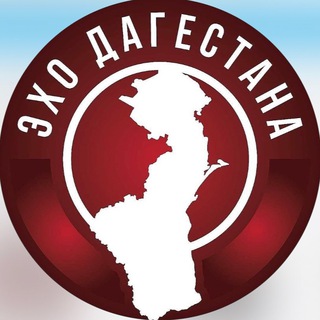 Суд Дагестана оштрафовал мужчину на 62 млн рублей за мошенничество