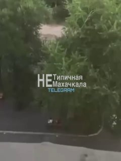 Молодежь в Махачкале провоцирует конфликты и нарушает порядок